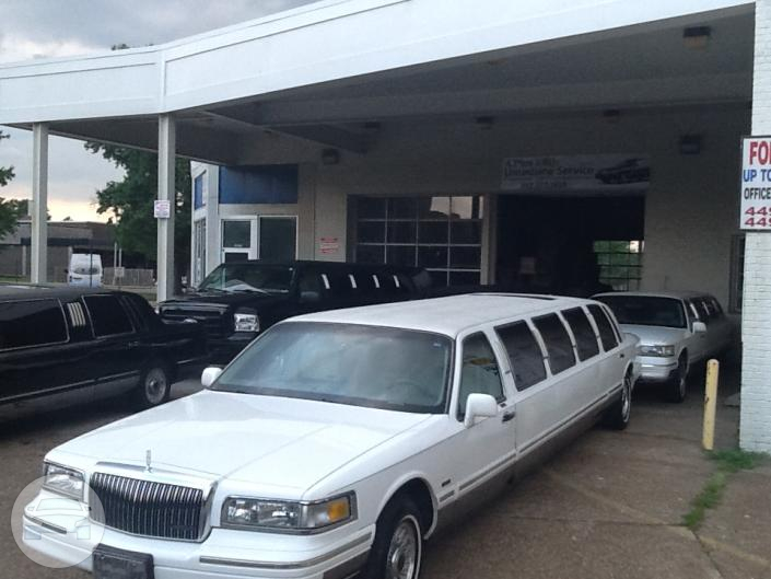 Ford Ltd limousines
Limo /
Owensboro, KY

 / Hourly $0.00
