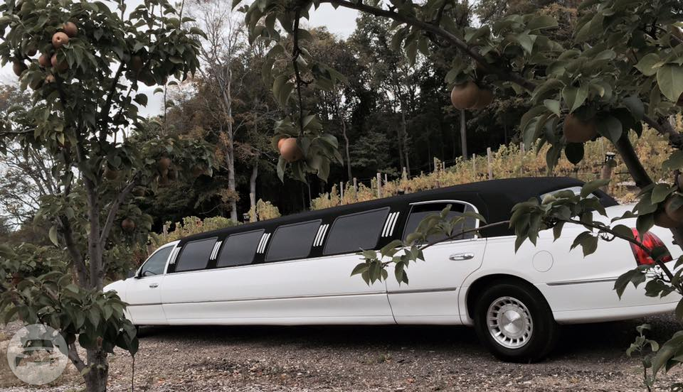 12 Passenger Super Stretch Limousine
Limo /
Portage, IN

 / Hourly $0.00
