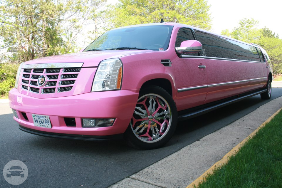 Pink Cadillac Limousine
Limo /
Washington, DC

 / Hourly $0.00
