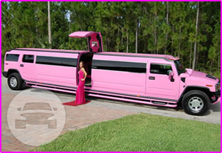 Pink Hummer
Hummer /
Alva, FL 33920

 / Hourly $0.00
