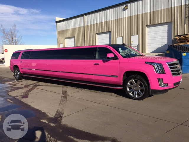 Princess Pink Escalade Limo
Limo /
Colorado City, CO

 / Hourly $0.00
