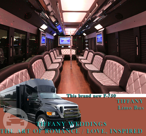 35 Passenger Party Bus
Party Limo Bus /
Chicago, IL

 / Hourly $0.00
