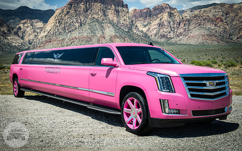 Pink Cadillac Escalade Limo 12 Passenger
Limo /
Las Vegas, NV

 / Hourly $97.75

