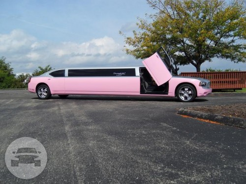 Pink Dodge Charger #6
Limo /
Cincinnati, OH

 / Hourly $145.00

