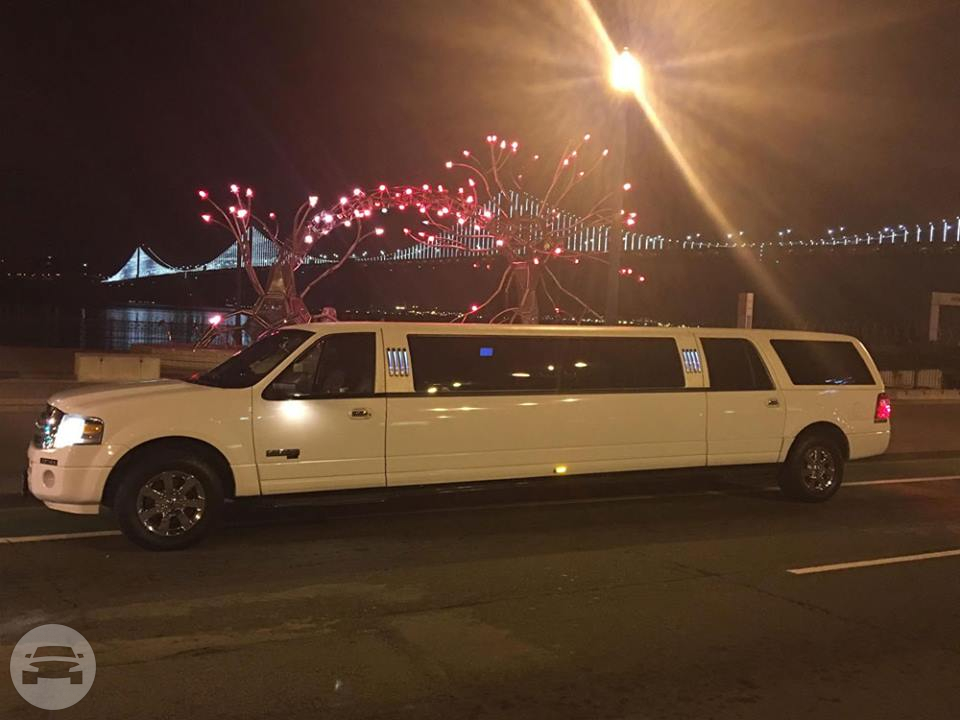 12 Passenger Expedition (White & Black)
Limo /
San Francisco, CA

 / Hourly $0.00
