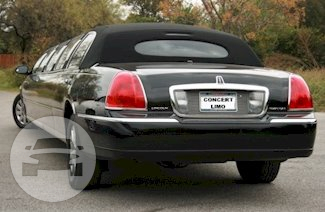 150 in. Ultra Stretch Black Lincoln Towncar
Limo /
San Antonio, TX

 / Hourly $0.00
