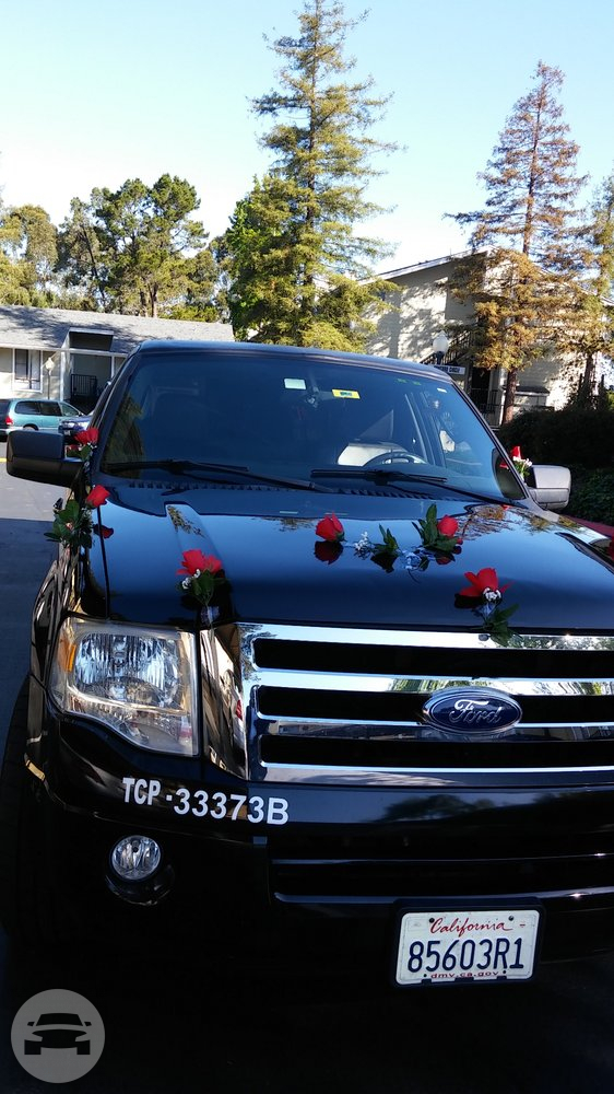 14 PASSENGER EXPEDITION LIMO
Limo /
San Francisco, CA

 / Hourly $0.00
