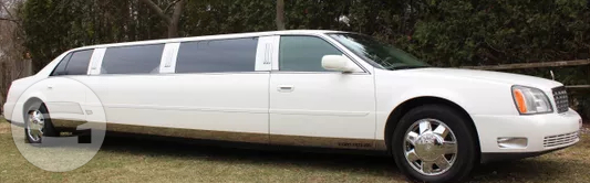Lincoln Towncar
Limo /
Toledo, OH

 / Hourly $0.00
