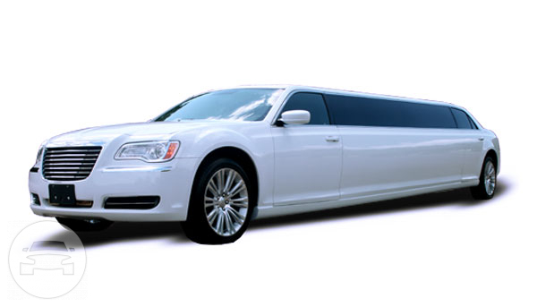 White Chrysler 300 Stretch Limousine
Limo /
Honolulu, HI

 / Hourly $0.00
