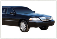 Lincoln Stretch Limousine
Limo /
St. Petersburg, FL

 / Hourly $0.00
