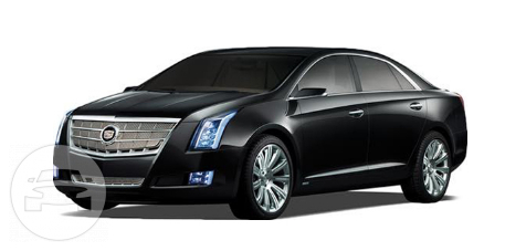 Cadillac XTS
Sedan /
Ventura, CA

 / Hourly $0.00
