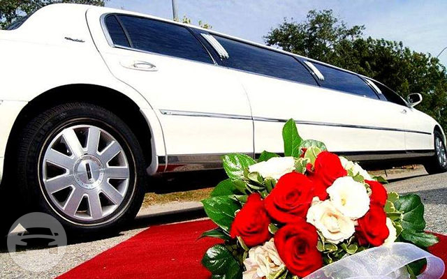 White Lincoln Towncar Stretch Limo
Limo /
Miami, FL

 / Hourly $0.00
