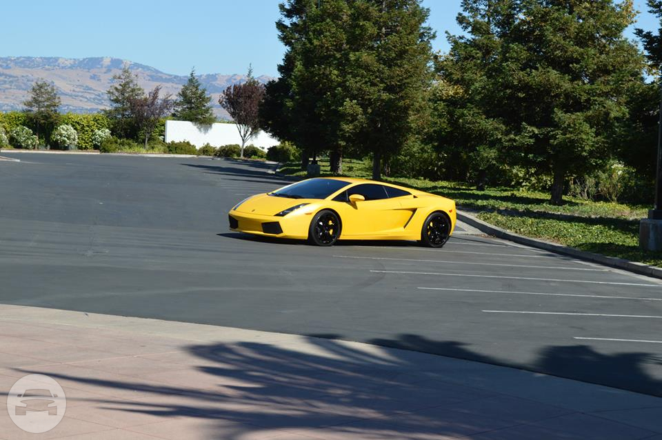 Lamborghini 
Sedan /
San Francisco, CA

 / Hourly $0.00
