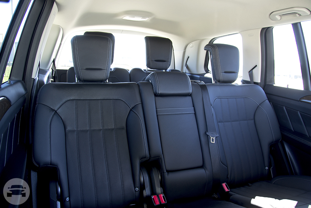 Executive SUV Style 1 (seats up to 5 passengers)
Sedan /
San Francisco, CA

 / Hourly $110.00
