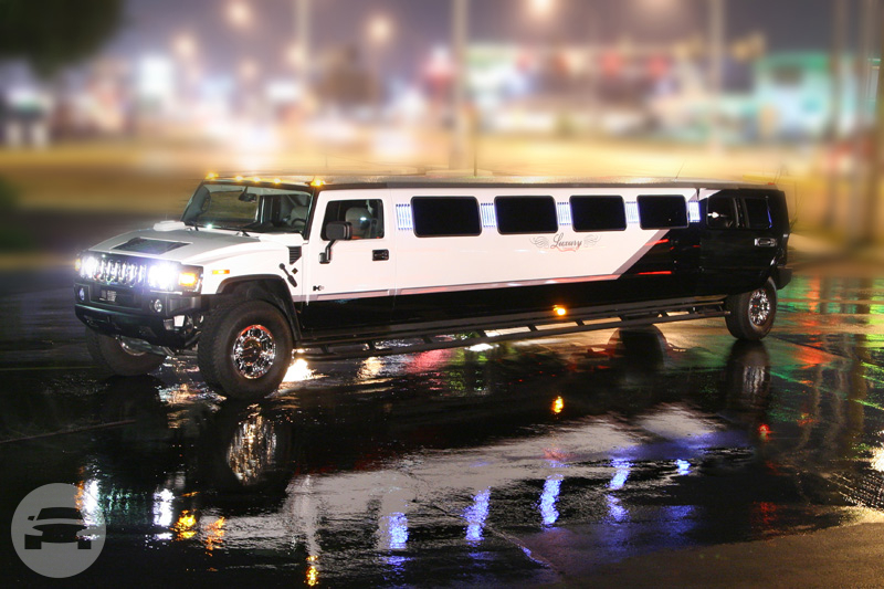 Hummer Limo
Hummer /
Springfield, MO

 / Hourly $0.00
