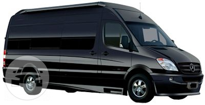 Executive Van (Mercedes Sprinter Van)
Van /
San Francisco, CA

 / Hourly $0.00
