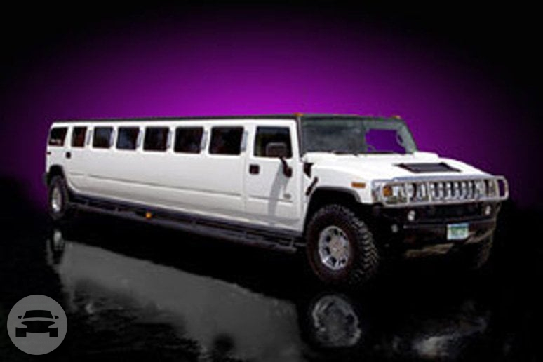 Hummer Stretch Limo (14-20 Passengers)
Hummer /
Los Angeles, CA

 / Hourly $0.00
