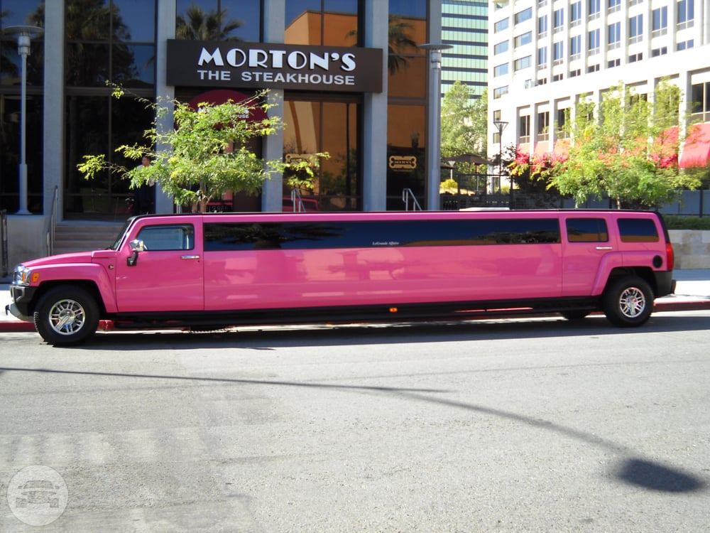 16 Passenger H3 Hummer - Pink
Hummer /
San Francisco, CA

 / Hourly $0.00
