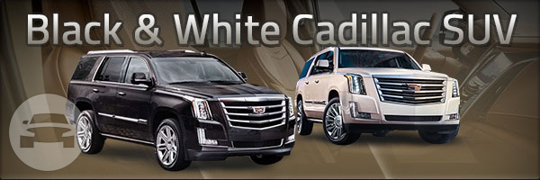 Cadillac Escalade SUV (White & Black)
SUV /
Rochester, NY

 / Hourly $0.00
