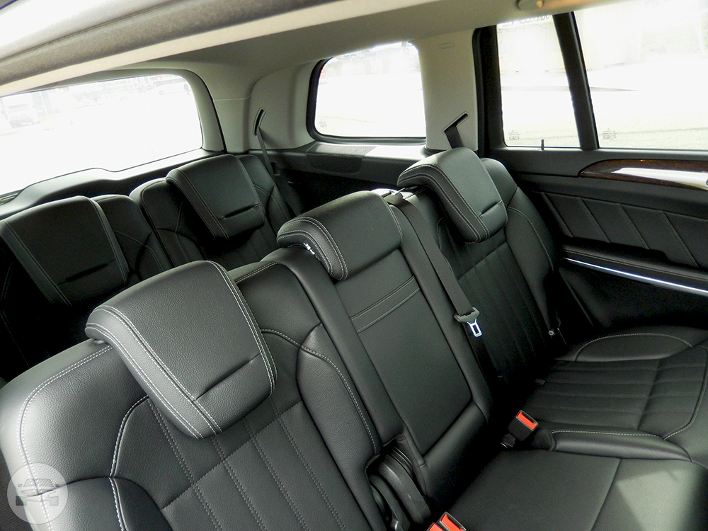 Executive SUV Style 2 (seats up to 5 passengers)
Sedan /
San Francisco, CA

 / Hourly $110.00
