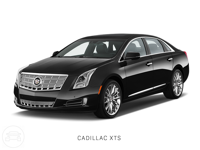 Cadillac XTS
Sedan /
Washington, DC

 / Hourly $75.00
 / Hourly $55.00
