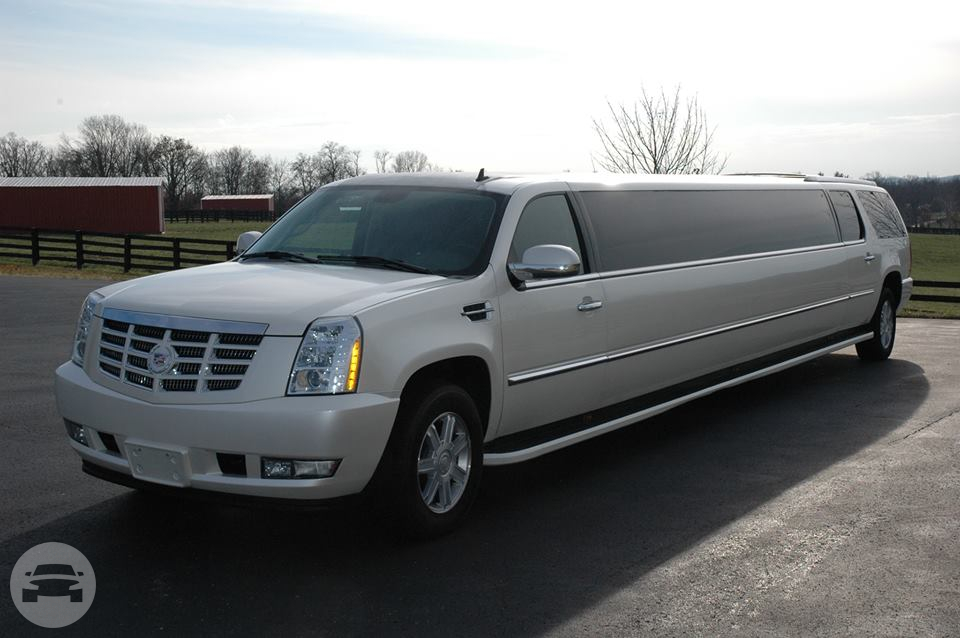 White Cadillac Escalade Super Stretch Limo
Limo /
Louisville, KY

 / Hourly $0.00
