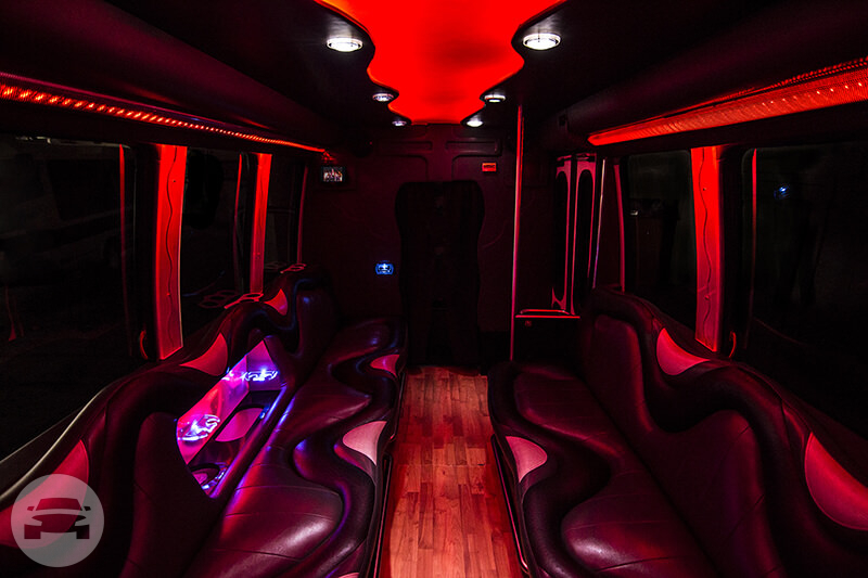 14 Passenger Party Bus
Party Limo Bus /
Romulus, MI

 / Hourly $0.00
