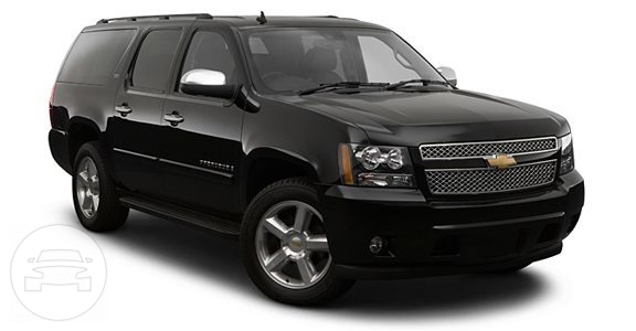 Chevrolet Suburban
SUV /
Orlando, FL

 / Airport Transfer $115.00
