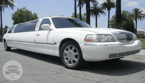 Stretch Lincoln Town Car limousine
Limo /
St Helena, CA 94574

 / Hourly $0.00
