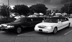 Stretch Limos
Limo /
Jacksonville, FL

 / Hourly $0.00
