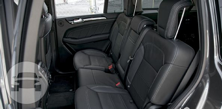 Mercedes GL450 SUV
SUV /
Bethpage, NY

 / Hourly $0.00
