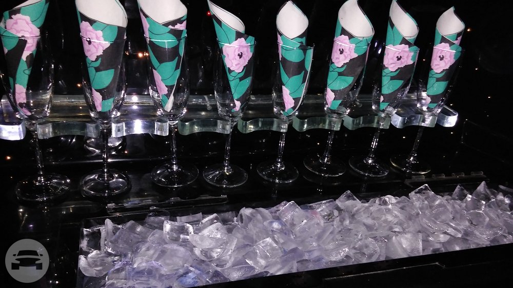 14 PASSENGER EXPEDITION LIMO
Limo /
San Francisco, CA

 / Hourly $0.00
