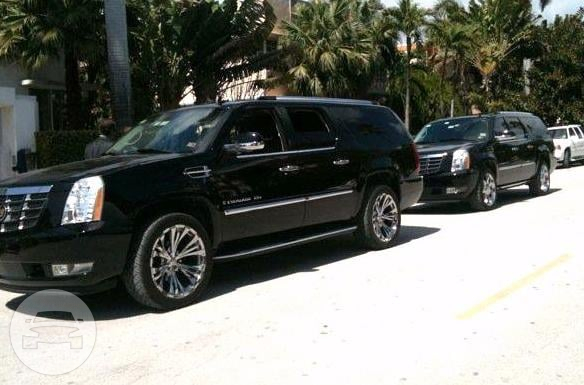Cadillac Escalade SUV
SUV /
Hialeah, FL

 / Hourly $0.00
