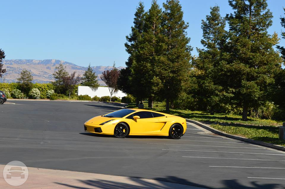 Lamborghini 
Sedan /
San Francisco, CA

 / Hourly $0.00
