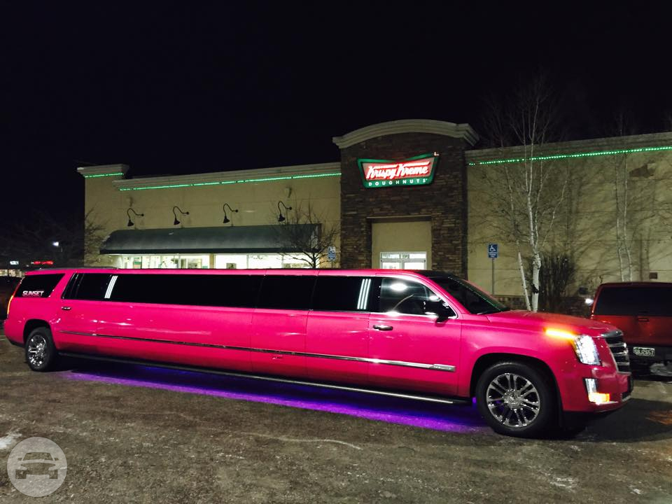 (20 Passenger) Pink Cadillac Escalade Gullwing
Limo /
Boulder, CO

 / Hourly $0.00
