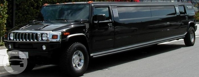 Stretch Hummer H2
Hummer /
Los Angeles, CA

 / Hourly $0.00
