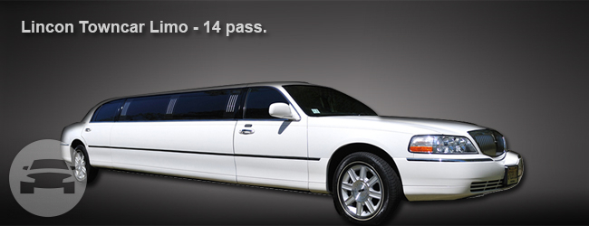 White Lincoln Stretch Limo 14 Passenger
Limo /
Los Angeles, CA

 / Hourly $0.00
