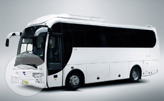 Luxury Large Coach
Coach Bus /


 / Hourly $0.00
