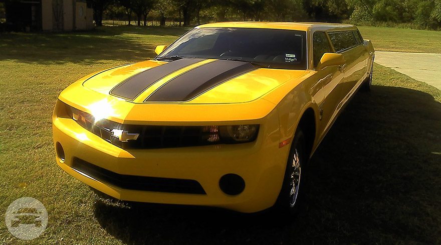 6 Passengers Camaro Bumble Bee
Limo /
Coppell, TX

 / Hourly $0.00
