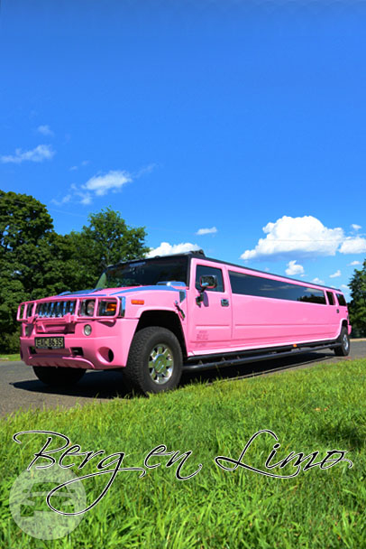 Hummer H2 Exotic Pink Limo
Hummer /
Paterson, NJ

 / Hourly $0.00
