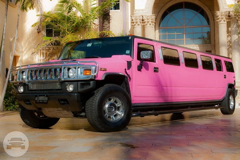 Pink Hummer Limo
Hummer /
Miami, FL

 / Hourly $0.00
