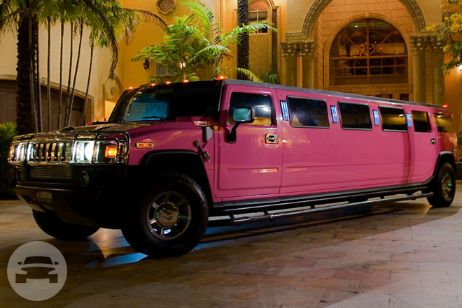 Silver State Limo pink hummer
Hummer /
Las Vegas, NV

 / Hourly $0.00
