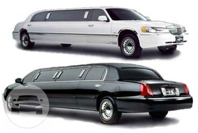 White and Black Lincoln Stretch Limousine
Limo /
Miami, FL

 / Hourly $0.00
