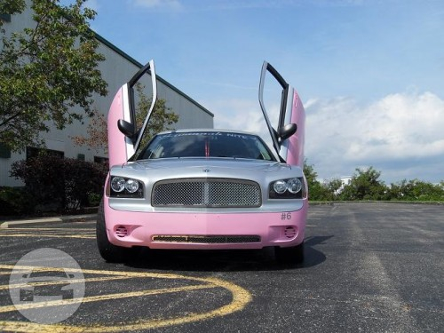 Pink Dodge Charger #6
Limo /
Cincinnati, OH

 / Hourly $145.00
