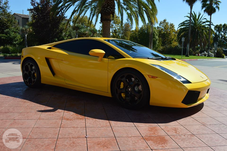 Lamborghini 
Sedan /
San Francisco, CA

 / Hourly $0.00
