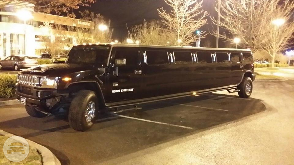 Hummer Super Stretch
Hummer /
Louisville, KY

 / Hourly $0.00
