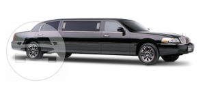 6-8 PASSENGER LIMOUSINE
Limo /
New York, NY

 / Hourly $0.00
