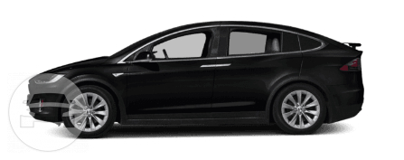 Tesla Model X Luxury Sedan
Sedan /
San Diego, CA

 / Hourly $0.00

