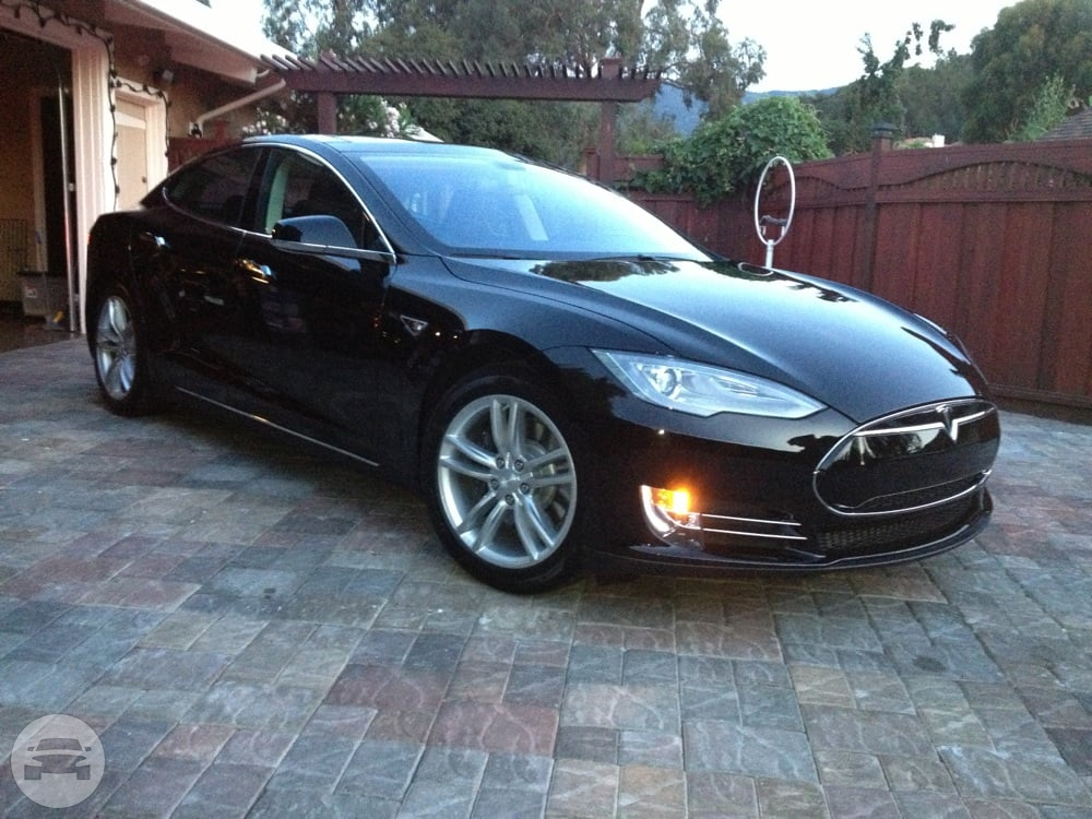 4 Passenger Tesla Electric Model S
Sedan /
San Francisco, CA

 / Hourly $0.00
