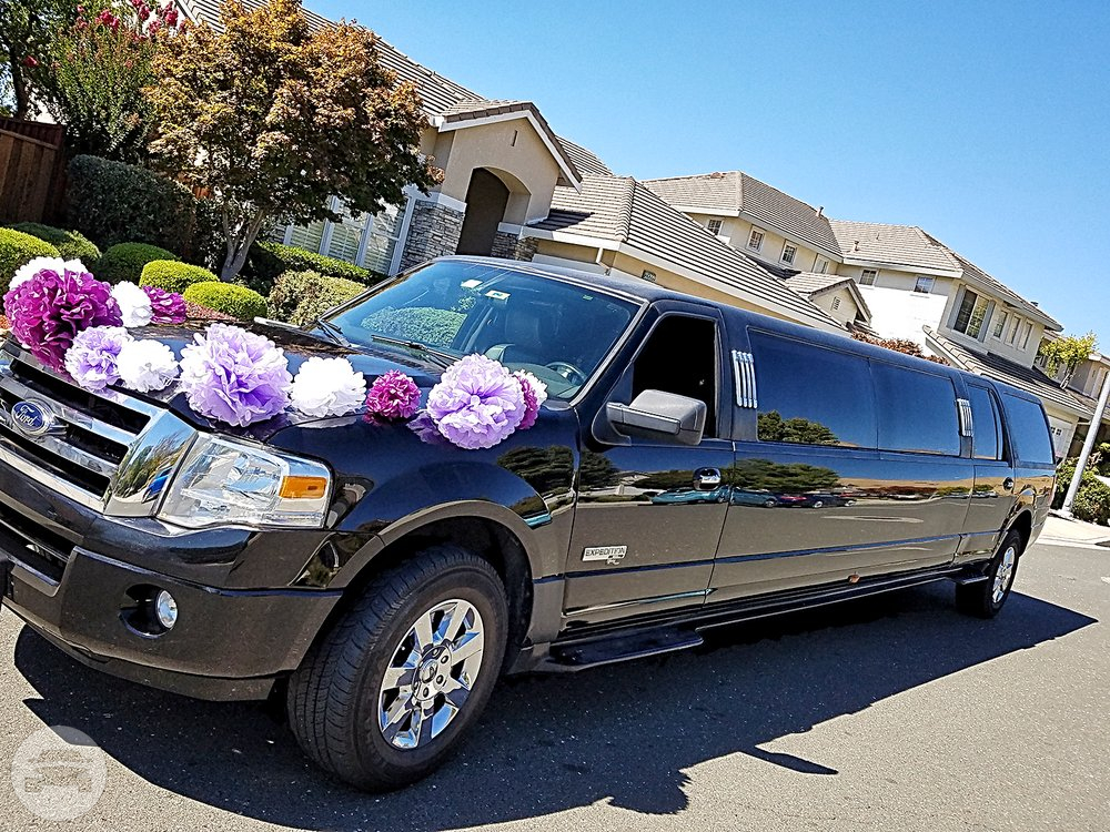 14 PASSENGER EXPEDITION LIMO
Limo /
San Francisco, CA

 / Hourly $0.00
